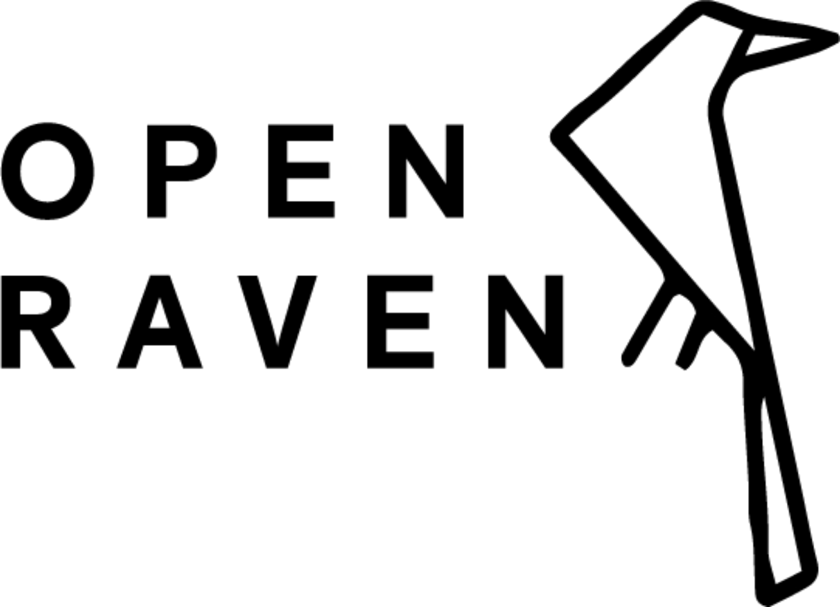 Open Raven